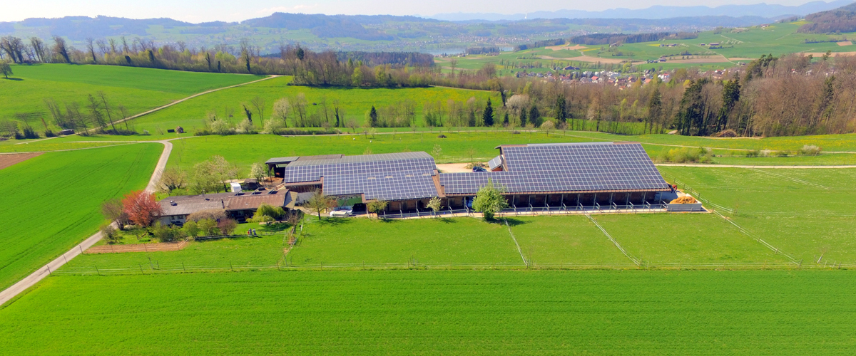 Hof von Osten gesehen