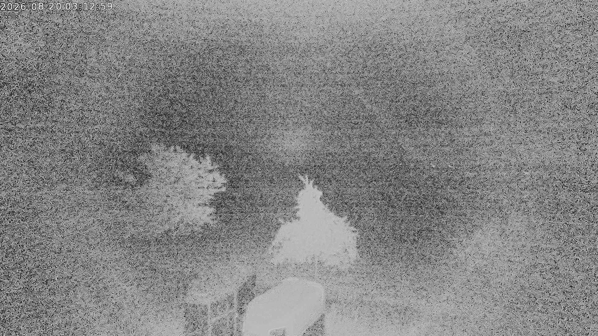 Webcambild nicht verfügbar